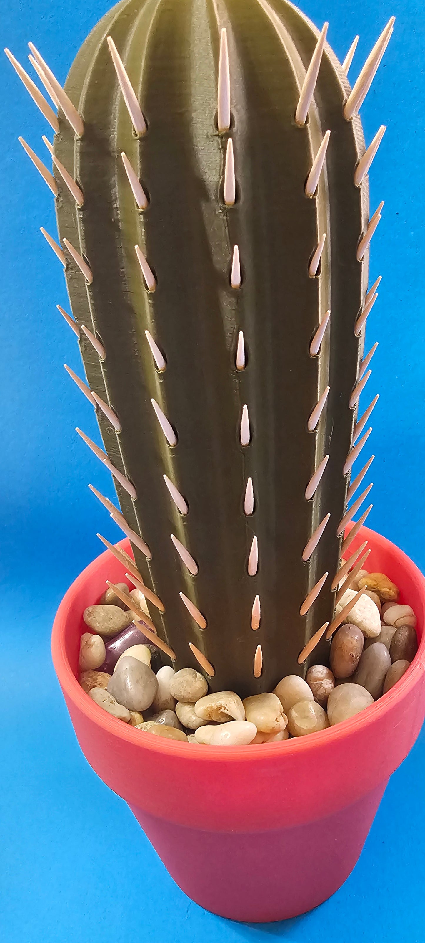 Cactus Toothpick Holder