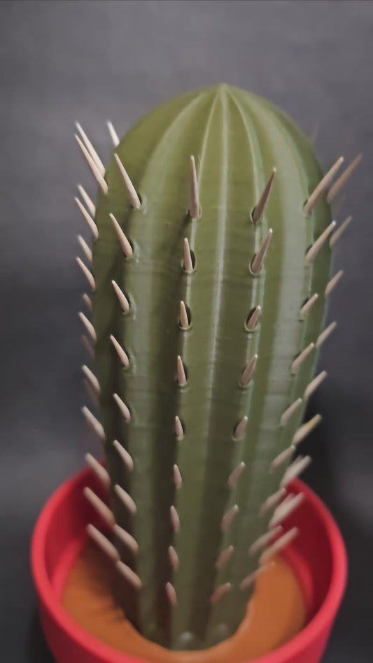 Cactus Toothpick Holder